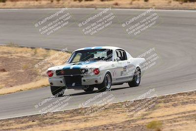 media/Oct-25-2025-West Coast Racing (Sat) [[9fdcbcd09c]]/Yellow group/Turn 3/